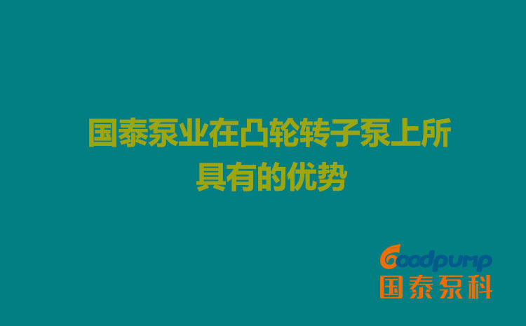 硬汉视频泵业在凸轮硬汉视频下载上所具有的优势